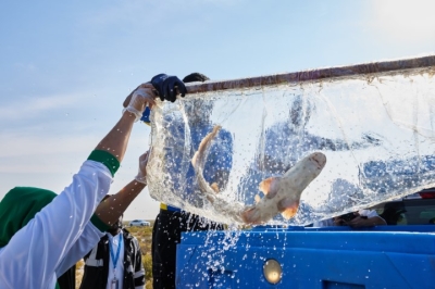 تعاون مثمر بين أتلانتس وبلدية دبي وشركة 