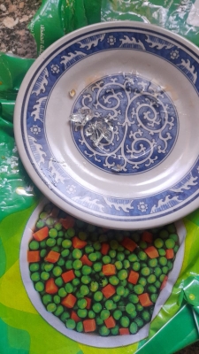 أردنية تعثر على زجاج داخل كيس (بازيلاء وجزر)