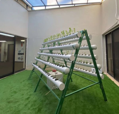 تهميش منطقة البادية الوسطى بمشاريع الزراعة المائية