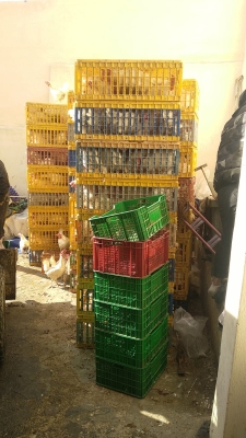 الاردن .. إتلاف أطنان من الدجاج المذبوح غير الصالح للاستهلاك البشري بالرصيفة - صور