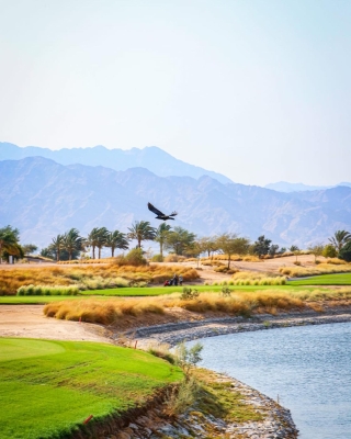 انطلاق النسخه الثالثة من الدوري الأردني للجولف 2025 على ملاعب  نادي أيلة - صور