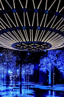 السعودية  .. حفل زفاف الأمير أحمد والأميرة حصة يُشعل مواقع التواصل - فيديو وصور