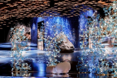 السعودية  .. حفل زفاف الأمير أحمد والأميرة حصة يُشعل مواقع التواصل - فيديو وصور