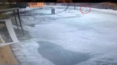 ترك رأسها فقط.. فيديو صادم لدُب يُهاجم امرأة حتى الموت