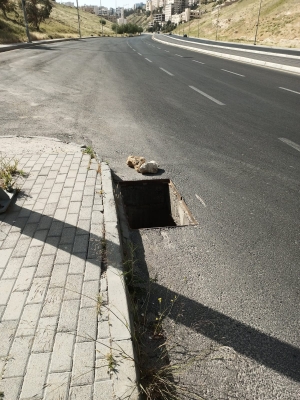 سرقة أغطية المناهل تتصاعد في عمّان - صور