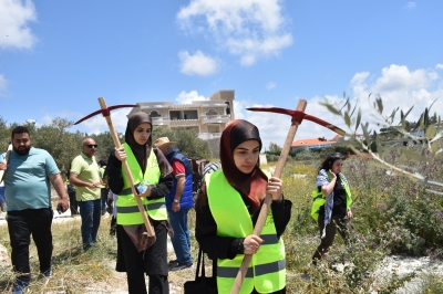 معاً لزيتون لبنان .. مشروع إقليمي تطلقه العربية لحماية الطبيعة من الأردن الى لبنان لإعادة إحياء مزارع الزيتون المدمرة