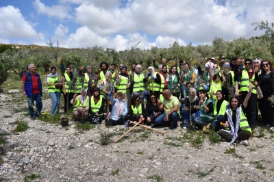 معاً لزيتون لبنان .. مشروع إقليمي تطلقه العربية لحماية الطبيعة من الأردن الى لبنان لإعادة إحياء مزارع الزيتون المدمرة