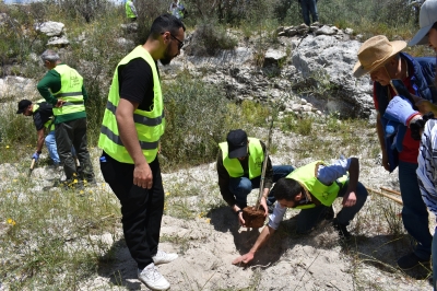 معاً لزيتون لبنان .. مشروع إقليمي تطلقه العربية لحماية الطبيعة من الأردن الى لبنان لإعادة إحياء مزارع الزيتون المدمرة