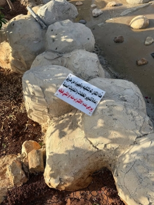 الأردن..مشروع لتحويل النفايات إلى تحف فنية مستدامة - صور