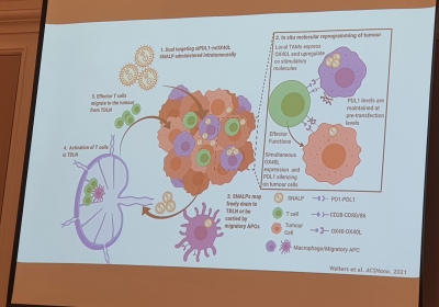 انجاز بحثي جديد لكلية الصيدلة في جامعة عمّان العربية خلال مؤتمر  (PESPC)/  الدوحة 2025