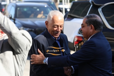 العدوان  وآل غيث نسايب - صور