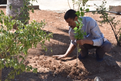 مستشفى الاستقلال يبادر بزراعة عشرات النخلات داخل قرية SOS للأطفال