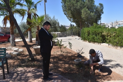 مستشفى الاستقلال يبادر بزراعة عشرات النخلات داخل قرية SOS للأطفال