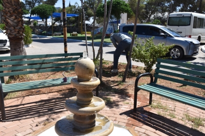 مستشفى الاستقلال يبادر بزراعة عشرات النخلات داخل قرية SOS للأطفال