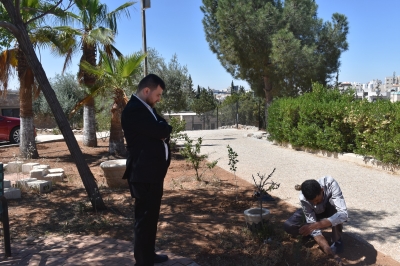مستشفى الاستقلال يبادر بزراعة عشرات النخلات داخل قرية SOS للأطفال