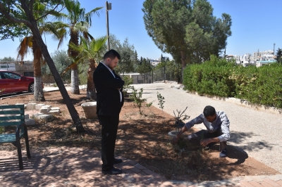 مستشفى الاستقلال يبادر بزراعة عشرات النخلات داخل قرية SOS للأطفال