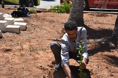 مستشفى الاستقلال يبادر بزراعة عشرات النخلات داخل قرية SOS للأطفال