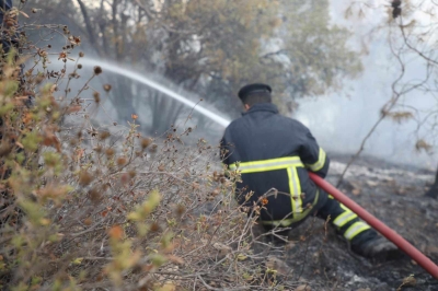 الأردن.. السيطرة على حريق واسع في جرش دون إصابات  - صور