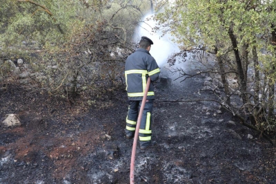 الأردن.. السيطرة على حريق واسع في جرش دون إصابات  - صور