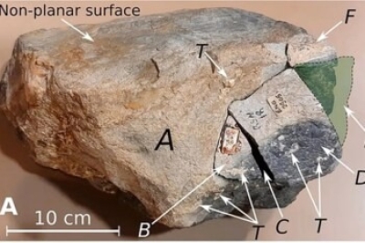دراسة تحل لغزاً عمره 5 آلاف عام