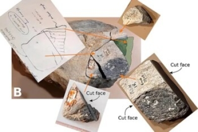 دراسة تحل لغزاً عمره 5 آلاف عام