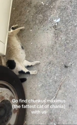 سبب غريب وراء إقبال السياح على جزيرة يونانية نائية