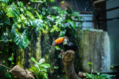 أنشطة عائلية مميزة في دبي قبل بدء العام الدراسي