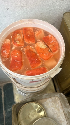 عفن وحشرات.. ضبط موقع إنتاج اجبان غير مرخص بالأردن