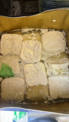 عفن وحشرات.. ضبط موقع إنتاج اجبان غير مرخص بالأردن