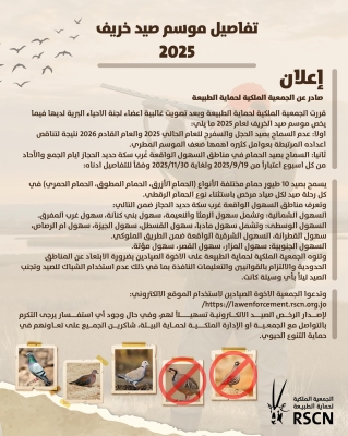 الأردن .. السماح بصيد 10 أنواع من الحمام