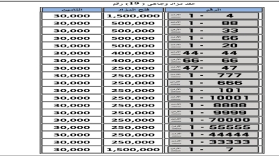 الأردن .. الترخيص : تسعير الأرقام المميزة وفق معايير فنية وجمالية