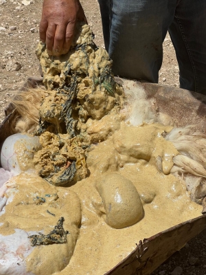 الأردن...أكياس بلاستيكية في أحشاء خروف ومربو ماشية يوضحون