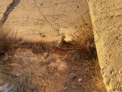 الأردن.. سور آيل للسقوط في منطقة السلالم بالسلط