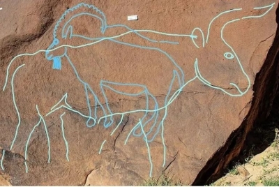 تفاصيل اكتشاف نقوش صخرية عمرها 12 ألف عام بالسعودية - صور