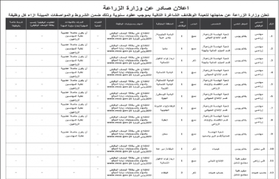 فرص مهمة للباحثين عن عمل في القطاع الزراعي بالأردن - تفاصيل