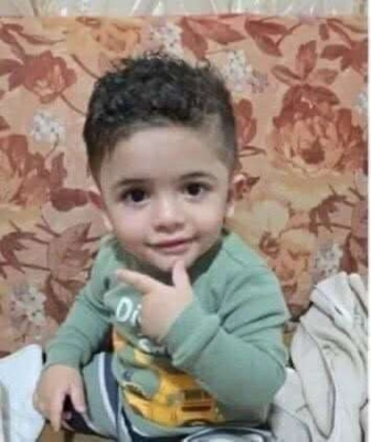 ما هي ذبابة الرمل (النمر الأسود) التي أودت بحياة الطفل الأردني عمر؟ – صور