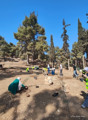 قسم اللغة الفرنسية والإنجليزية بجامعة الزيتونة يشارك في غرس مئة شجرة بالتعاون مع أمانة عمان الكبرى