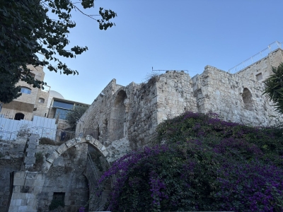 مواطن أردني يثير الجدل بزيارة الكنيست وحائط البراق - صور