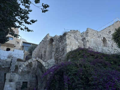 مواطن أردني يثير الجدل بزيارة الكنيست وحائط البراق - صور