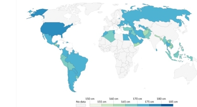 قامات الأردنيين من الأطول عالميا