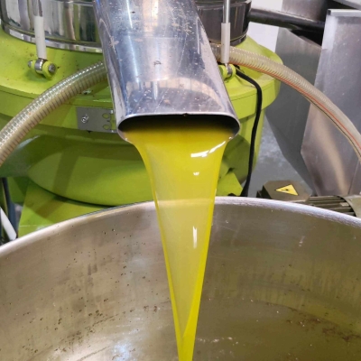 التنكة بـ 70 ديناراً.. هل يدخل الزيت السيناوي السوق الأردني؟ - صور