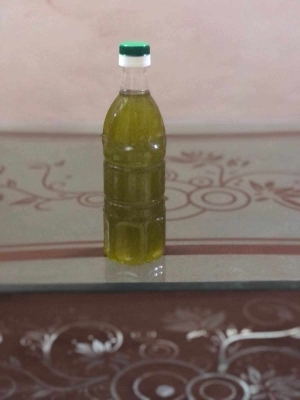 التنكة بـ 70 ديناراً.. هل يدخل الزيت السيناوي السوق الأردني؟ - صور