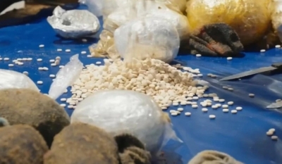 السعودية: ضبط «زيت زيتون بالمخدرات» قادم من الأردن - صور