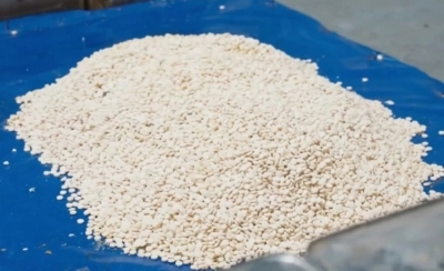 السعودية: ضبط «زيت زيتون بالمخدرات» قادم من الأردن - صور