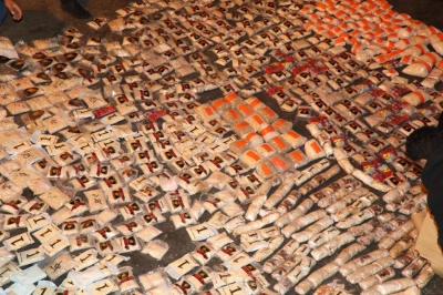 الأردن.. إحباط تهريب 1.2 مليون حبة مخدرة بعد شهرين من المتابعة