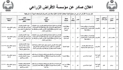 القطاع الحكومي يعلن عن فتح شواغر للتعيين وإجراء مقابلات شخصية