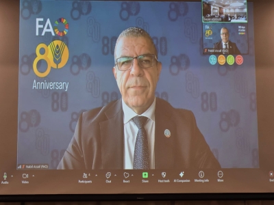 الفاو تنظم ورشة ختامية لمشروع (خفض الطاقة) في سد الملك طلال