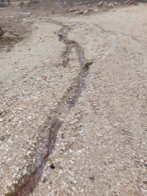 رسالة إلى بلدية الكرك من راكين - صور