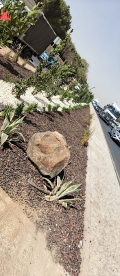 أمانة عمان: تأهيل أربع حدائق وثلاث منتزهات خلال عام 2025