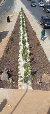 أمانة عمان: تأهيل أربع حدائق وثلاث منتزهات خلال عام 2025